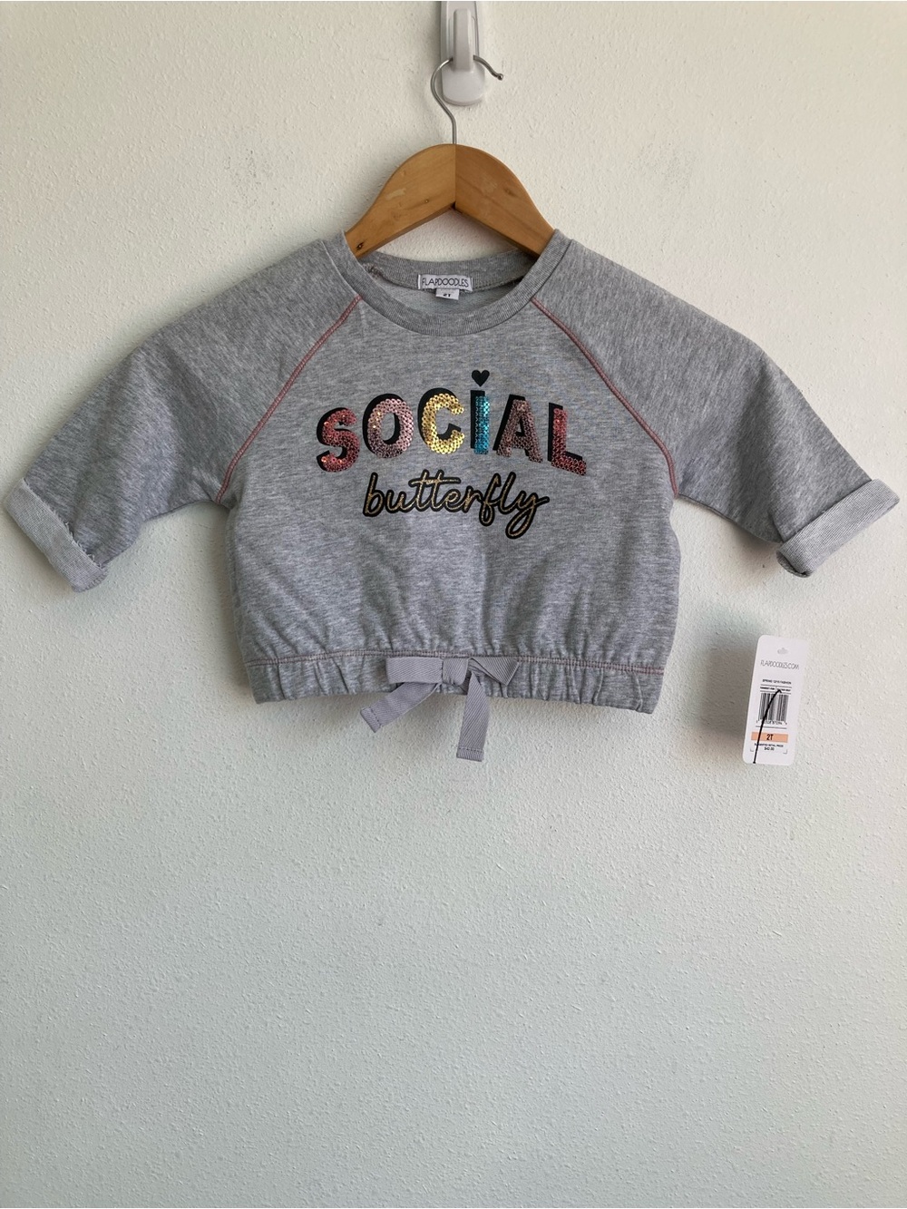 Flapdoodles Size 2T Grey 'Social Butterfly' Sweatshirt